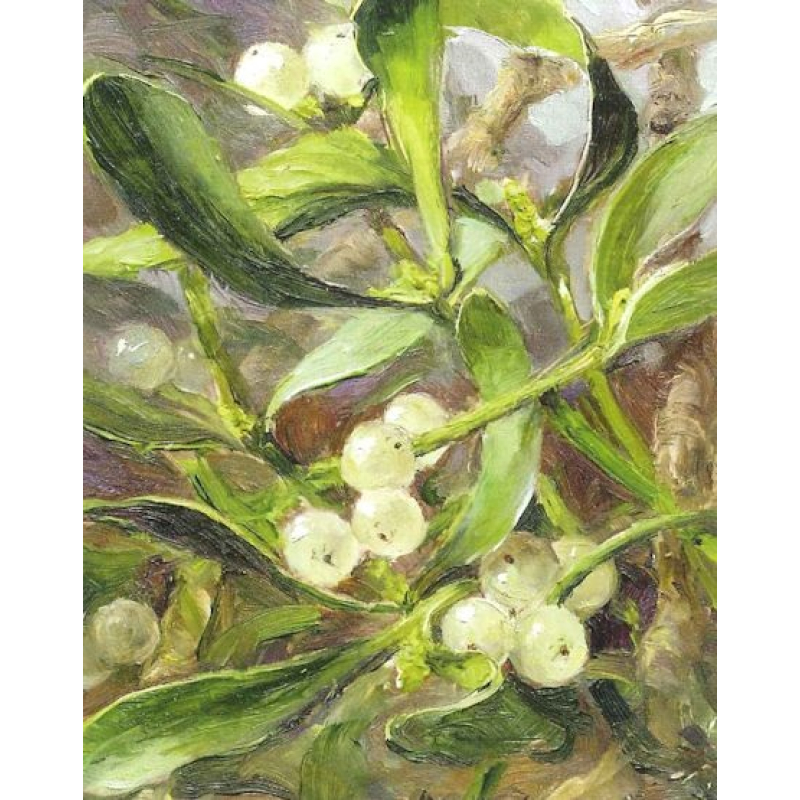 Cadeaukaart Mistletoe 7,5x9,5cm