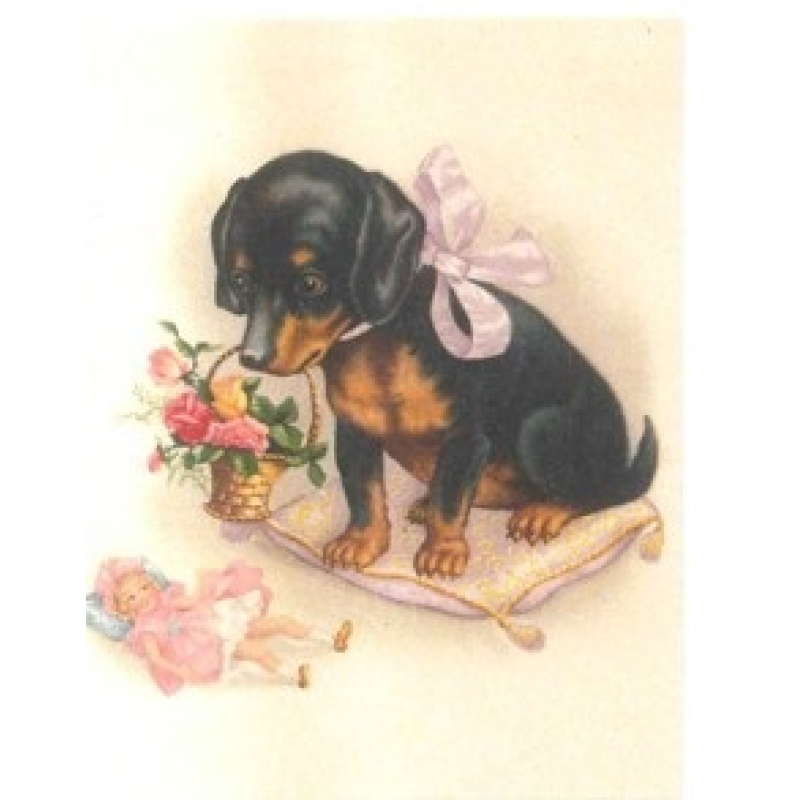 Cadeaukaart met env. Teckel met bloemen 7x9cm