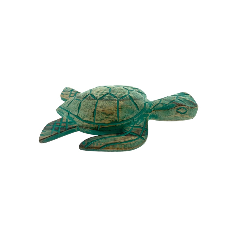 Schildpad turquoise S