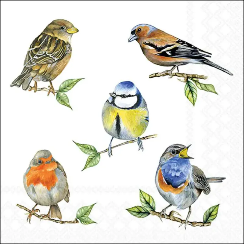Servetten "Bird species white" 33x33 cm