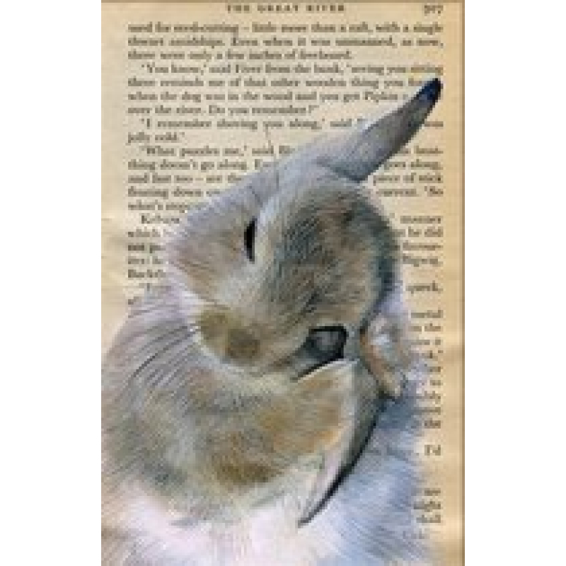 Dubbele kaart met env. Konijn wast oor 11,5x17,5cm