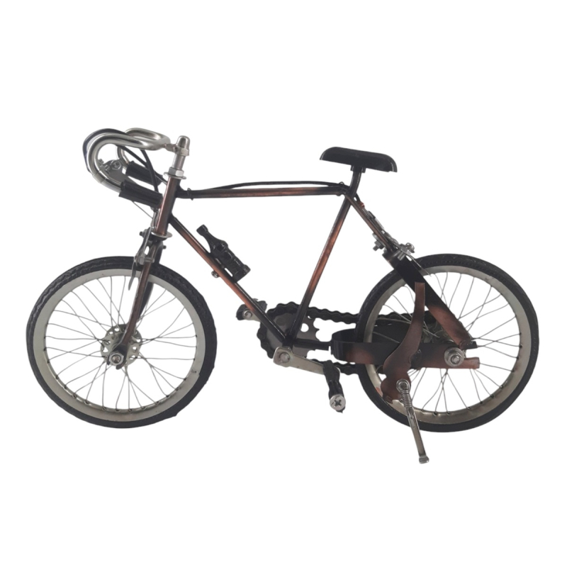 Wielrenfiets Matthieu van metaal
