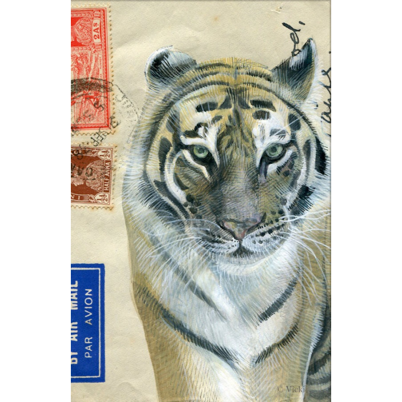 Dubbele kaart met env. Tijger 11,5x17,5cm