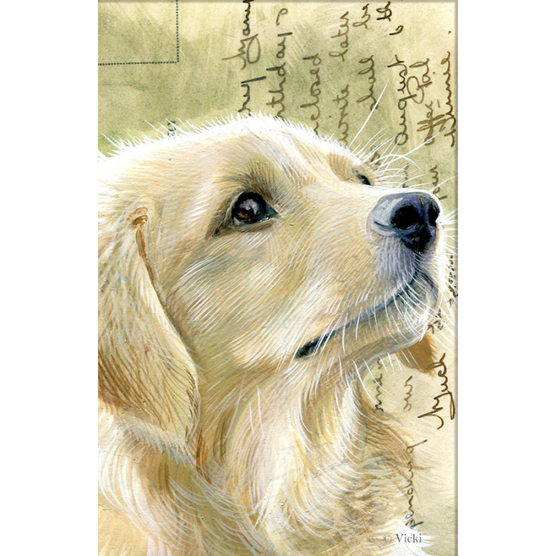 Dubbele kaart met env. Hond Golden retriever 11,5x17,5cm