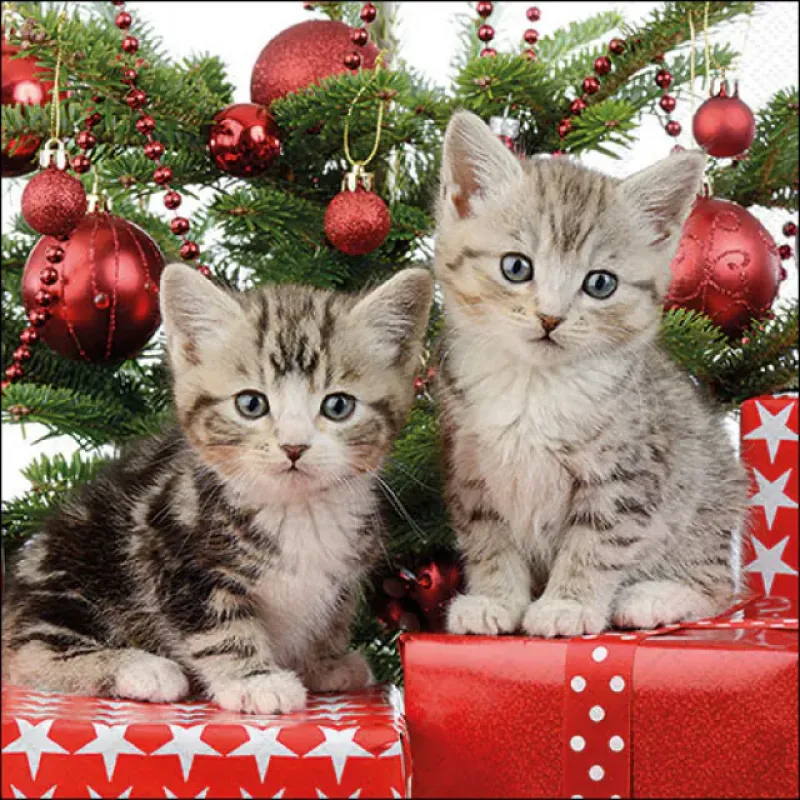 Servetten "Christmas kitten" 33x33 cm
