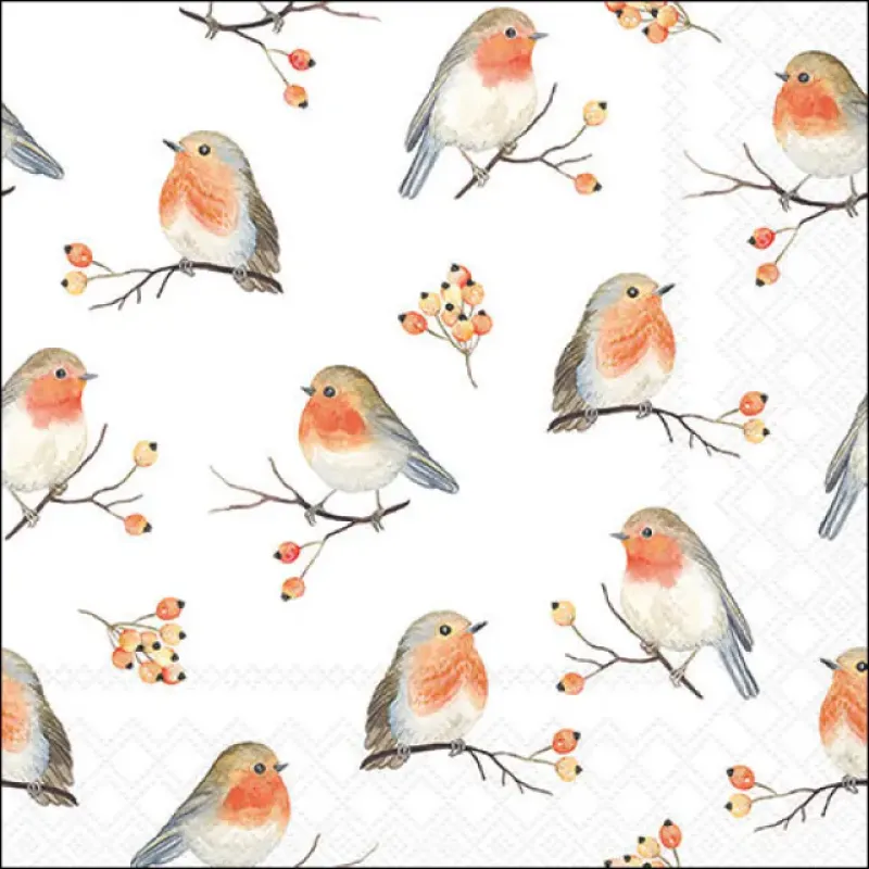 Servetten "Robin family" 33x33 cm