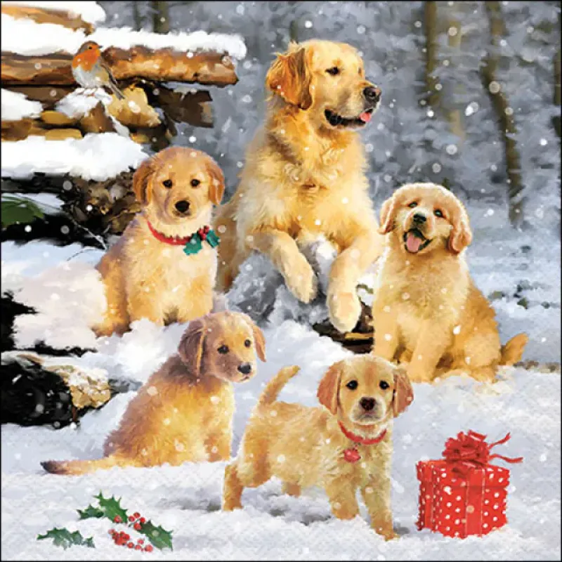 Servetten "Golden retriever puppies" 33x33 cm