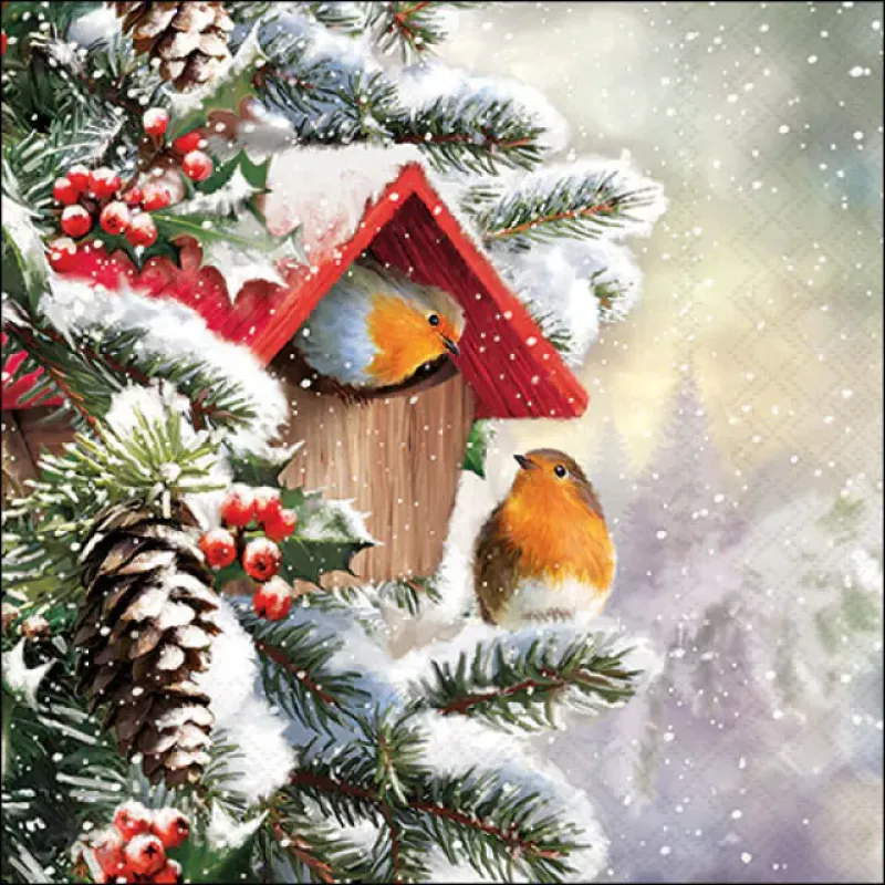 Servetten "House with robins" 33x33 cm