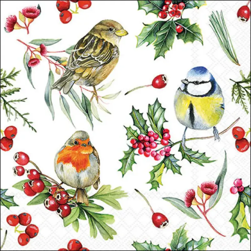 Servetten "Birds in winter" 33x33 cm