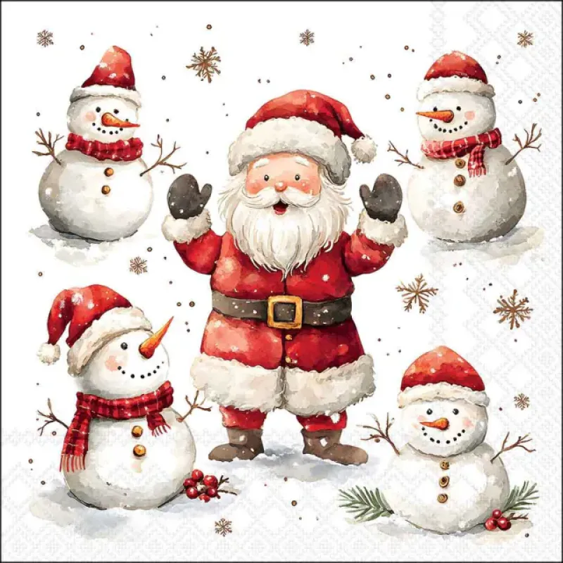 Servetten "Jolly friends" 33x33 cm