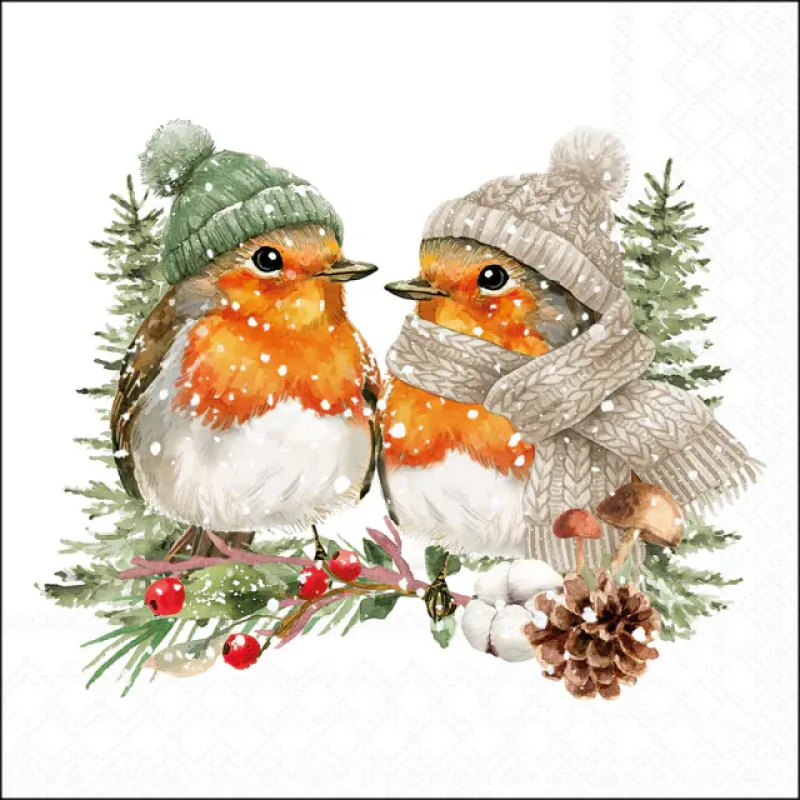 Servetten "Warmly dressed robins" 33x33 cm
