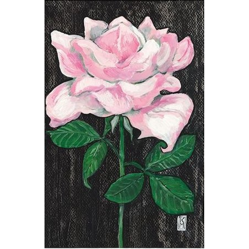Dubbele kaart met env. Roze Roos 11,5x17,5cm