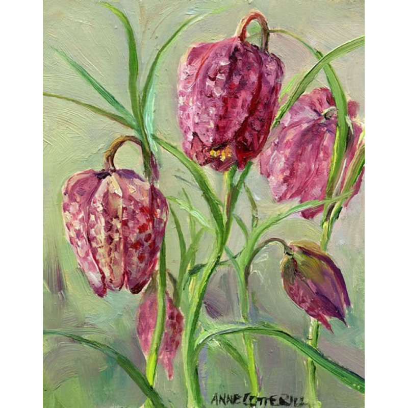 Cadeaukaart Kievitsbloems 7,5x9,5cm