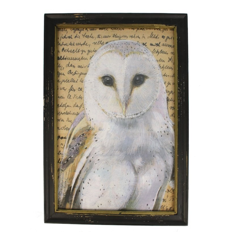 Lijstje hout zwart Uil wit, 34x23,5cm