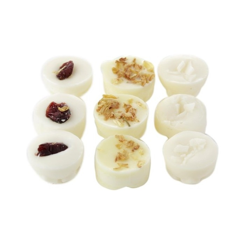 Waxmelts Toekan party 9 stuks