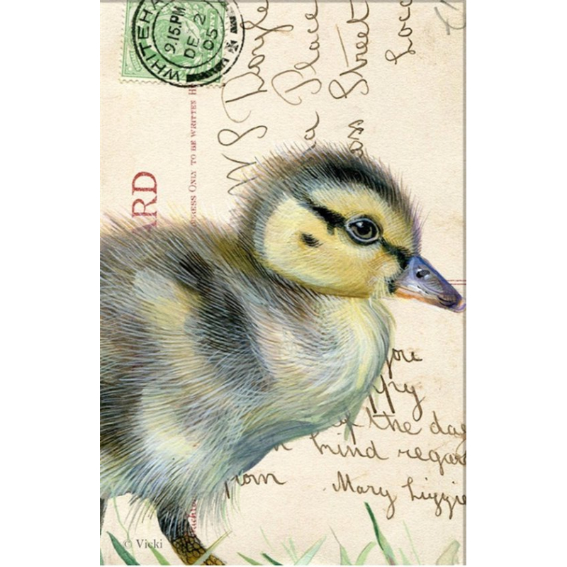 Dubbele kaart met env. Eendje 11,5x17,5cm