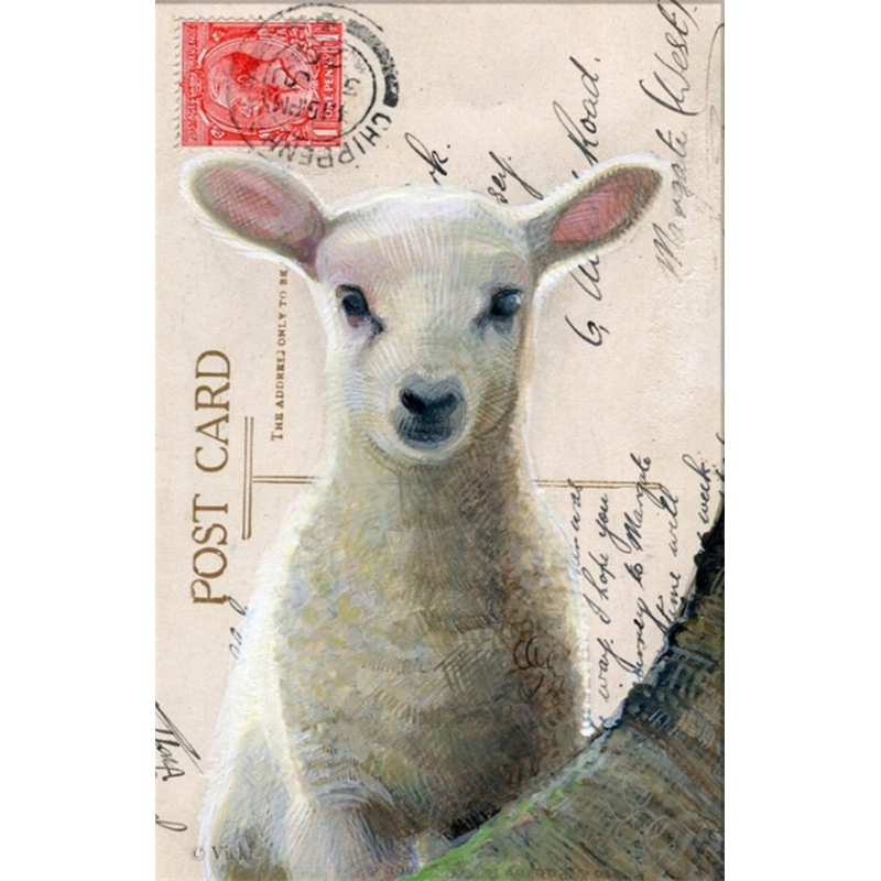 Dubbele kaart met env. Lammetje wit 11,5x17,5cm