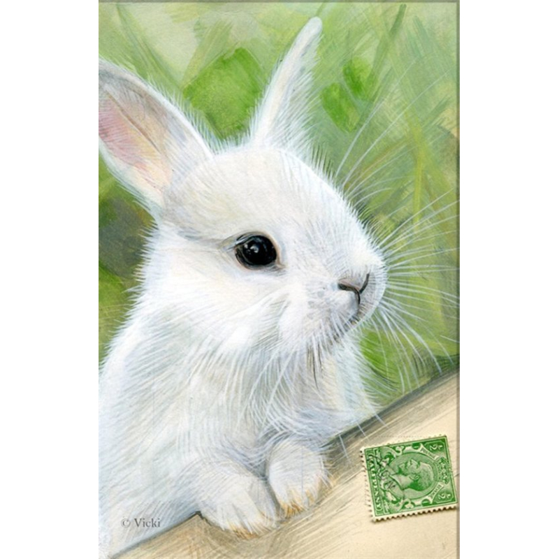 Dubbele kaart met env. Konijn met zegeltje 11,5x17,5cm