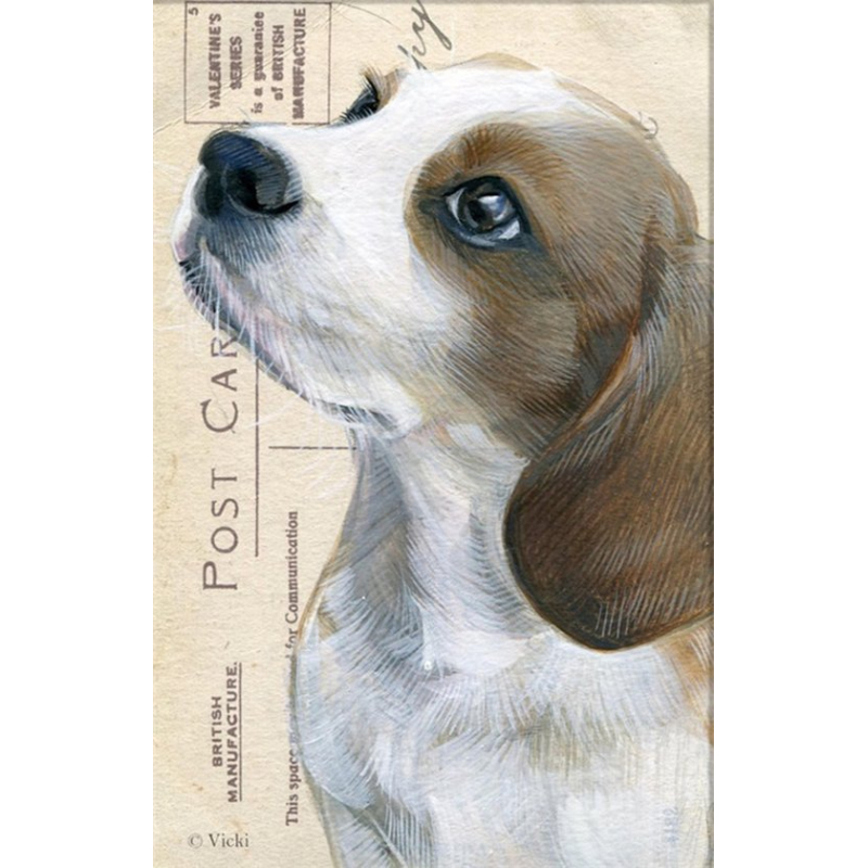 Dubbele kaart met env. Hond Beagle 11,5x17,5cm