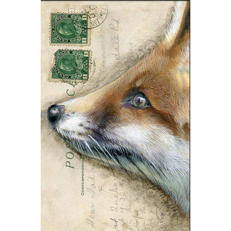 Kaart met envelop Vos 11,5x17,5cm