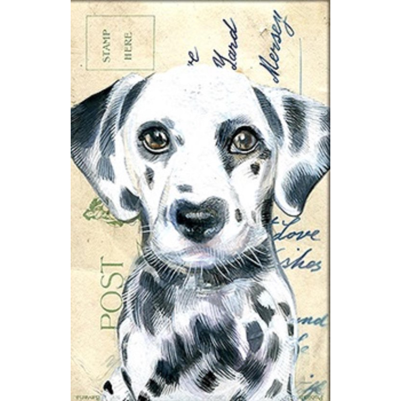 Dubbele kaart met env. Hond Dalmatian 11,5x17,5cm