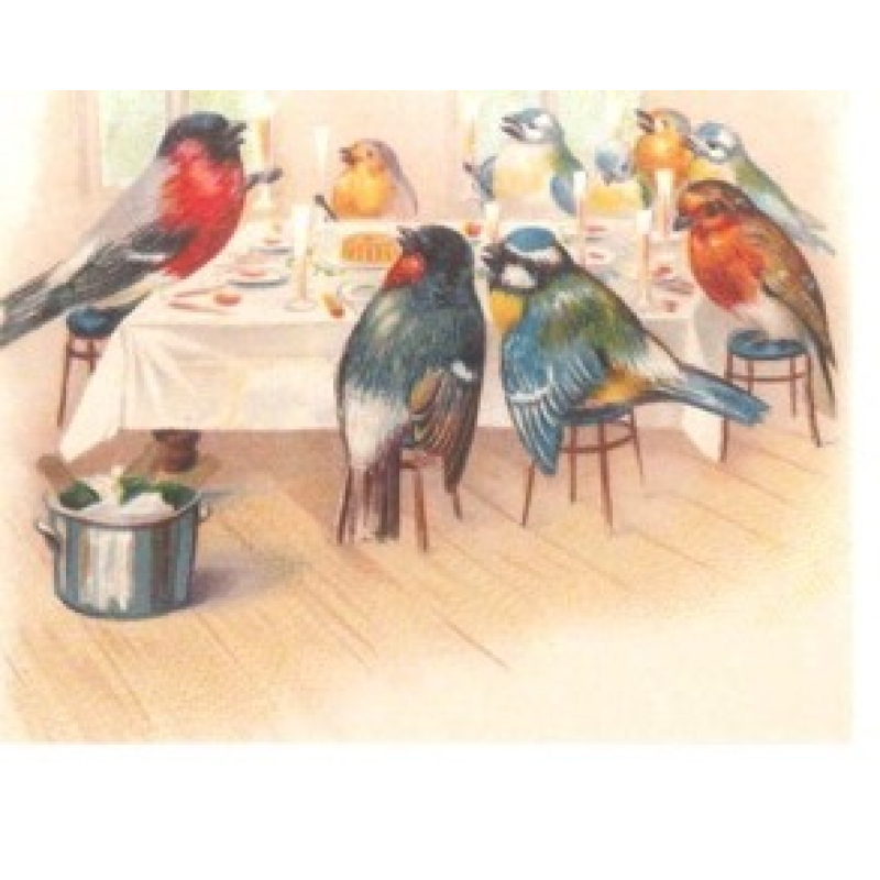 Cadeaukaart met env. Vogels aan tafel 7x9cm