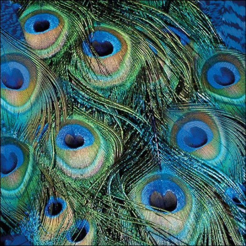 Servetten "Peacock feathers" 33x33 cm