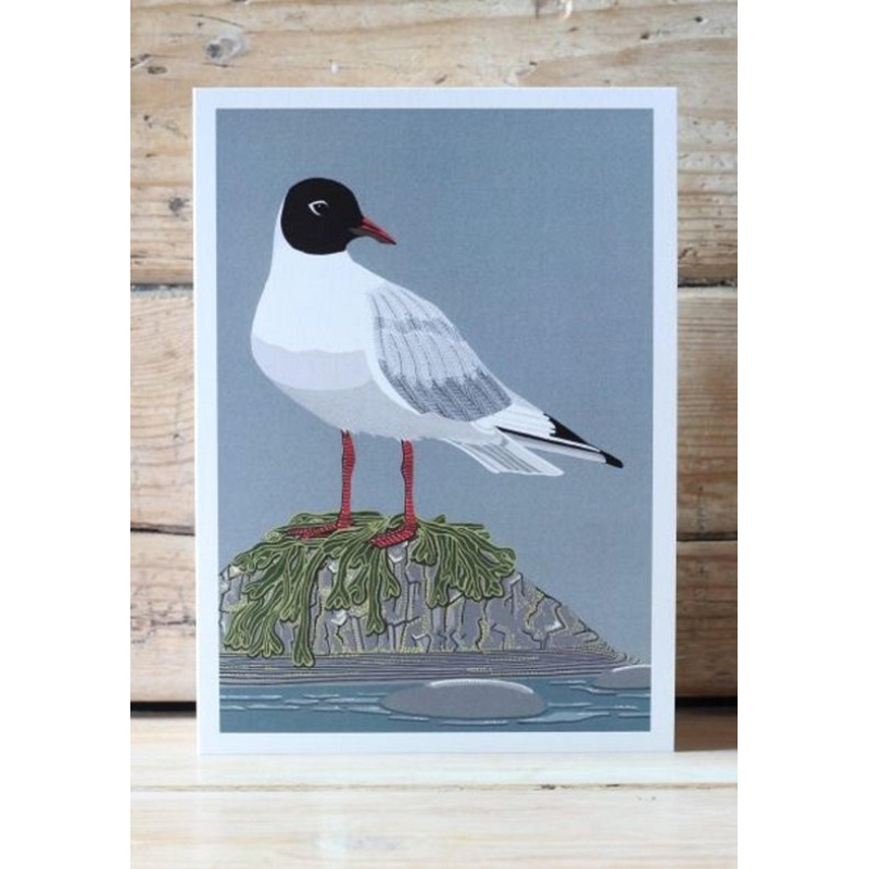 Wenskaart - Meeuw op de Rots (12,5 x 17,5 cm)