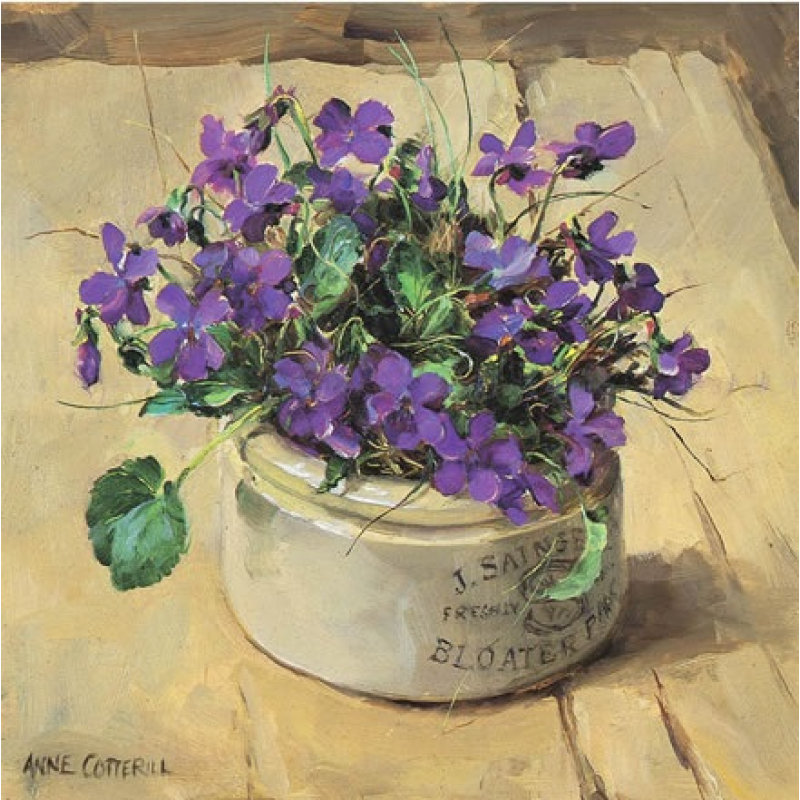 Dubbele kaart met env. Maartse viooltjes 12x12cm