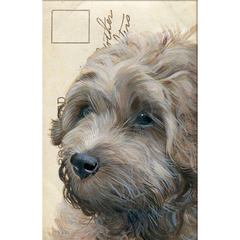 Dubbele kaart met env. Hond Labradoodle 11,5x17,5cm