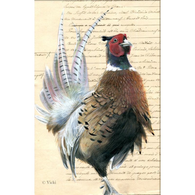 Dubbele kaart met env. Fazant 11,5x17,5cm