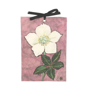 Geurzakje "Lavender" Helleborus niger 17x11,5cm