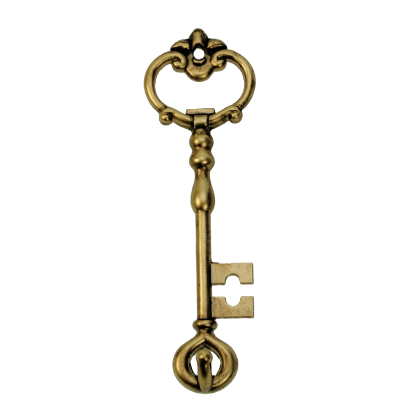 Haakje Sleutel goudkleur 5x2x17cm