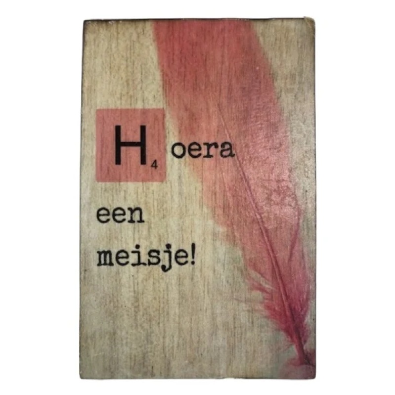 Tekstblok Geboorte "Hoera meisje"