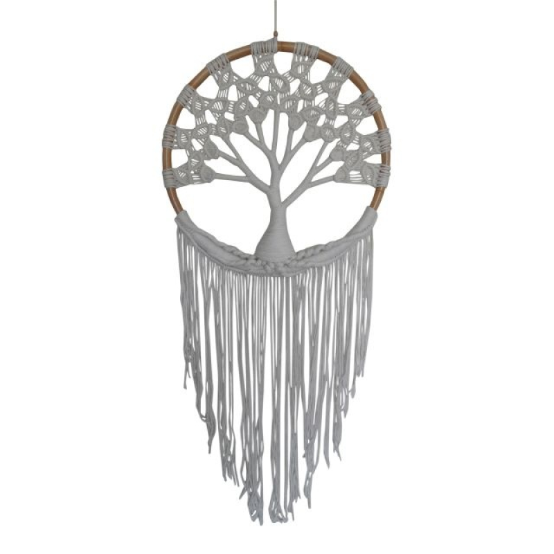 Dromenvanger levensboom diameter 40 cm