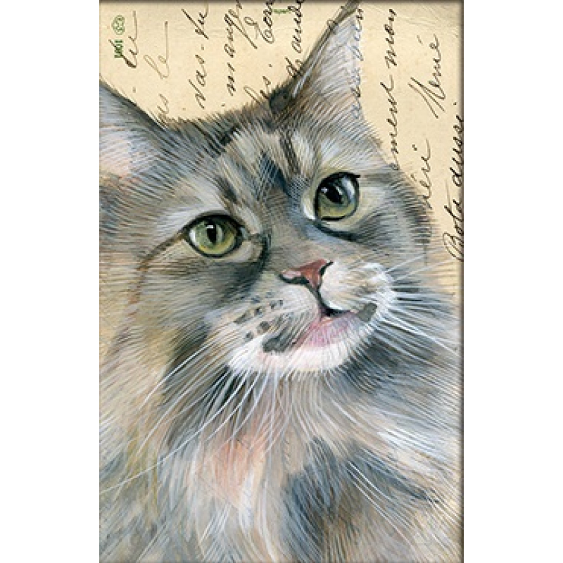 Dubbele kaart met env. Kat perzische 11,5x17,5cm