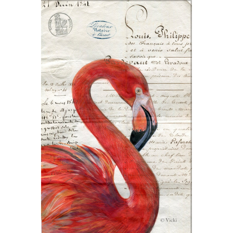 Dubbele kaart met env. Flamingo 11,5x17,5cm