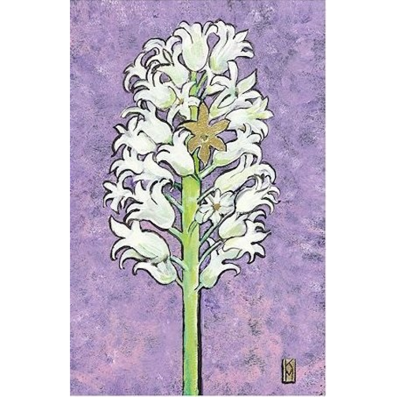 Dubbele kaart Hond Teckel langharig 11,5x17,5cm