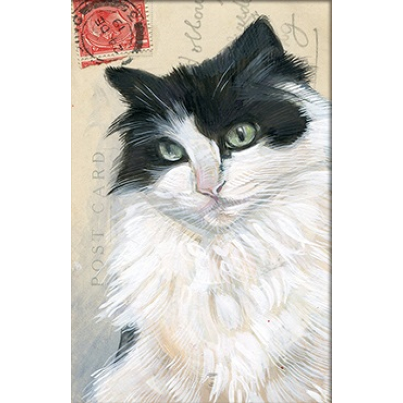 Dubbele kaart met env. Kat zwart/wit 11,5x17,5cm