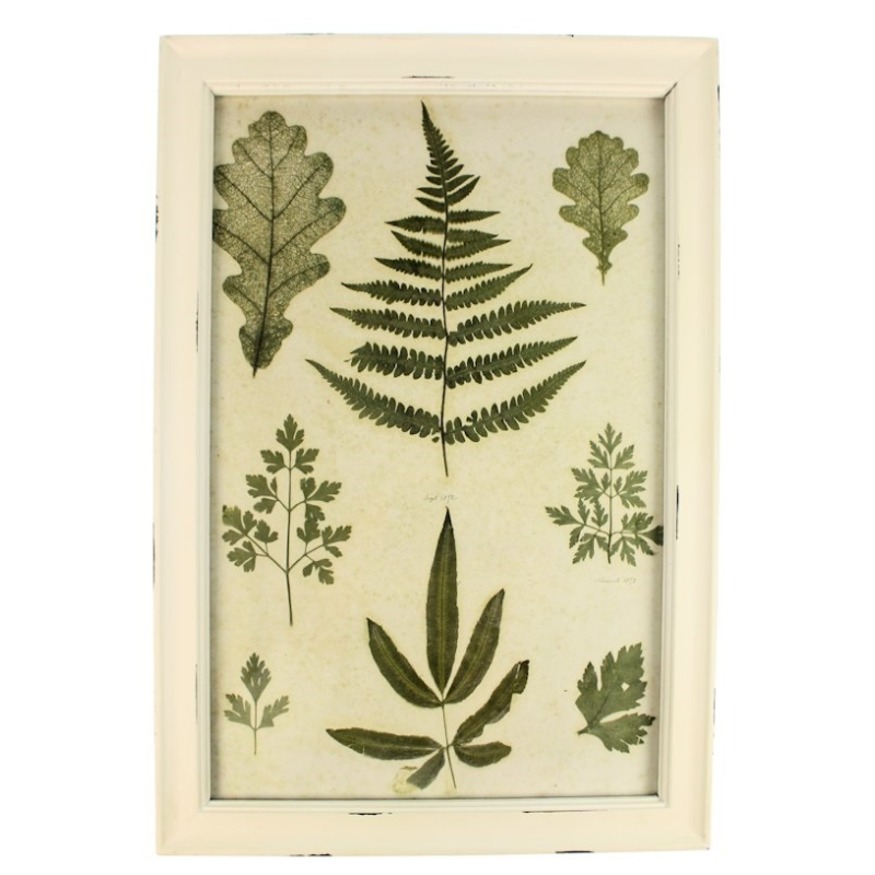 Lijstje hout wit Varen, 34x23,5cm