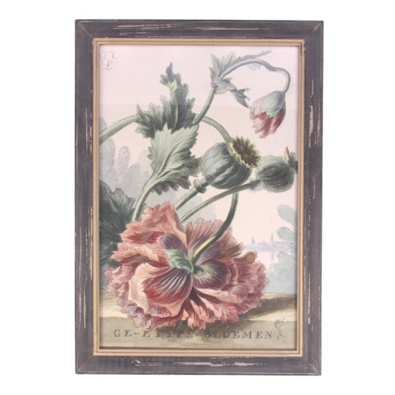 Lijstje hout Papaver, 33x23cm