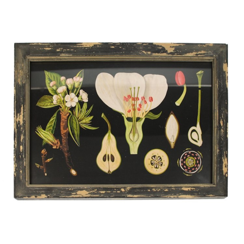 Lijstje hout Perenbloesem, 33x23cm