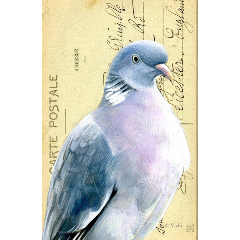 Dubbele kaart met env. Duif 11,5x17,5cm