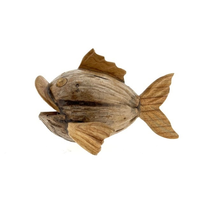 Vis kokosnoot Giko bruin