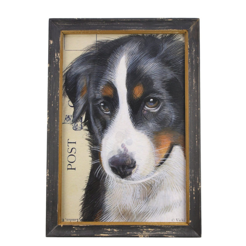 Lijstje hout zwart Berner Sennenhond, 34x23,5cm