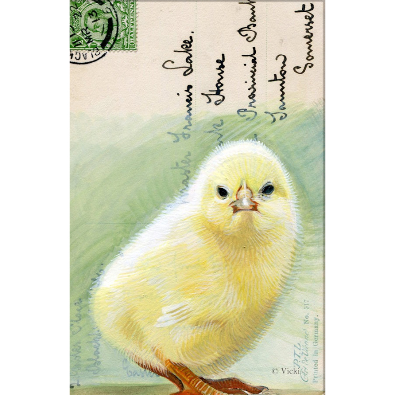 Dubbele kaart met env. Kuiken 11,5x17,5cm