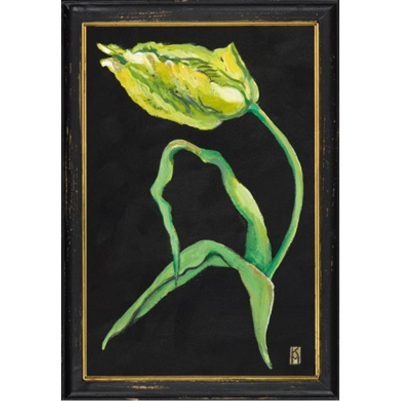 Lijstje hout zwart Franse tulp, 34x23,5cm