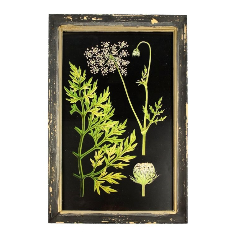 Lijstje hout Fluitekruid, 33x23cm