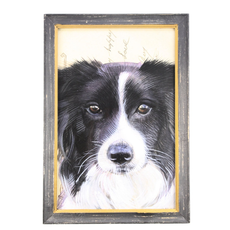 Lijstje hout zwart Border Collie, 34x23,5cm