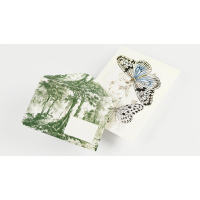 Schrijfpapier in box Natural History 23x17x5,2cm